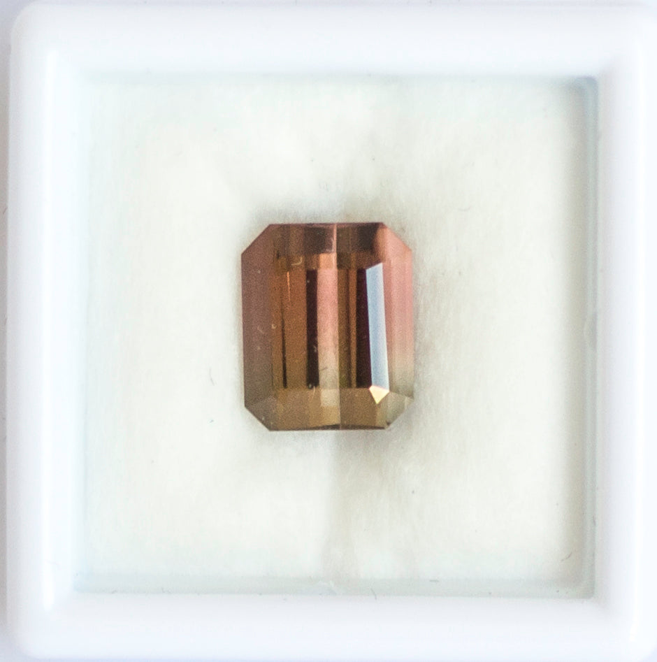 3.51ct Watermelon Tourmaline