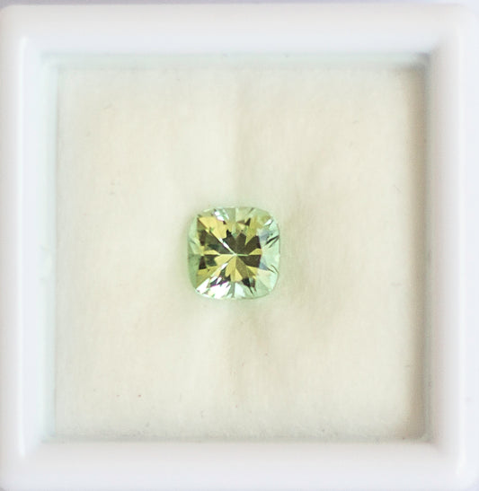 0.89ct Green Tourmaline