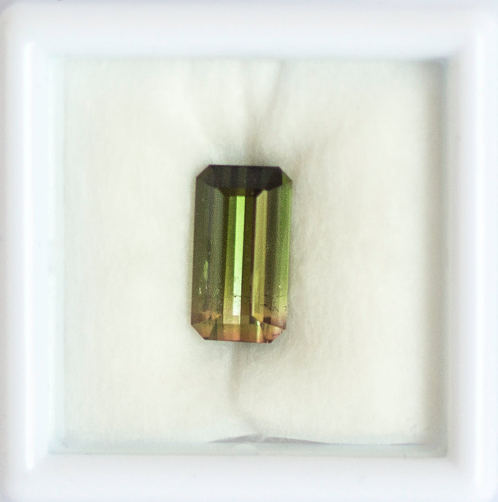 2.58ct Watermelon Tourmaline