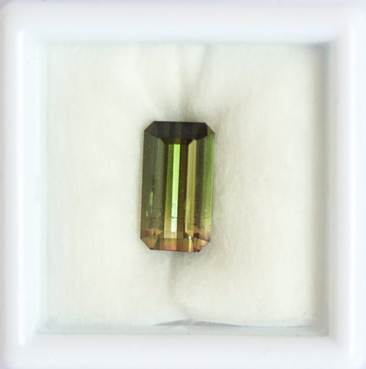 2.58ct Watermelon Tourmaline