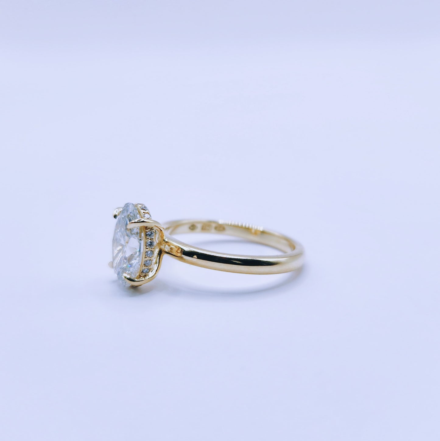 Oval Hidden Halo Engagement Ring
